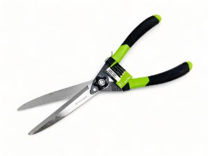 SHEARS