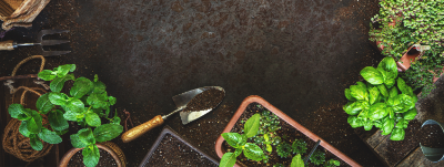 WEBSITE BANNER -GARDENING